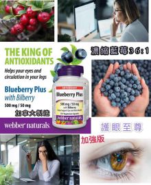 Webber Naturals 藍莓濃縮精華膠囊(120粒)