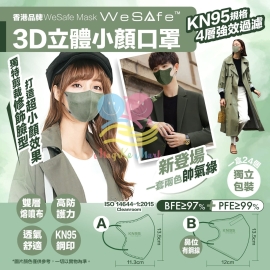 WeSafe 3D立體小顏成人口罩帥氣綠系列(1盒24個)(獨立包裝)