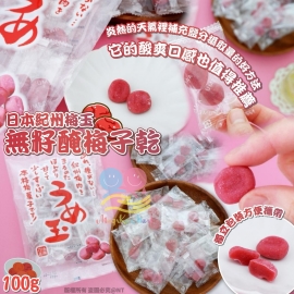 日本紀州梅玉無籽醃梅子乾 100g (1套2包)